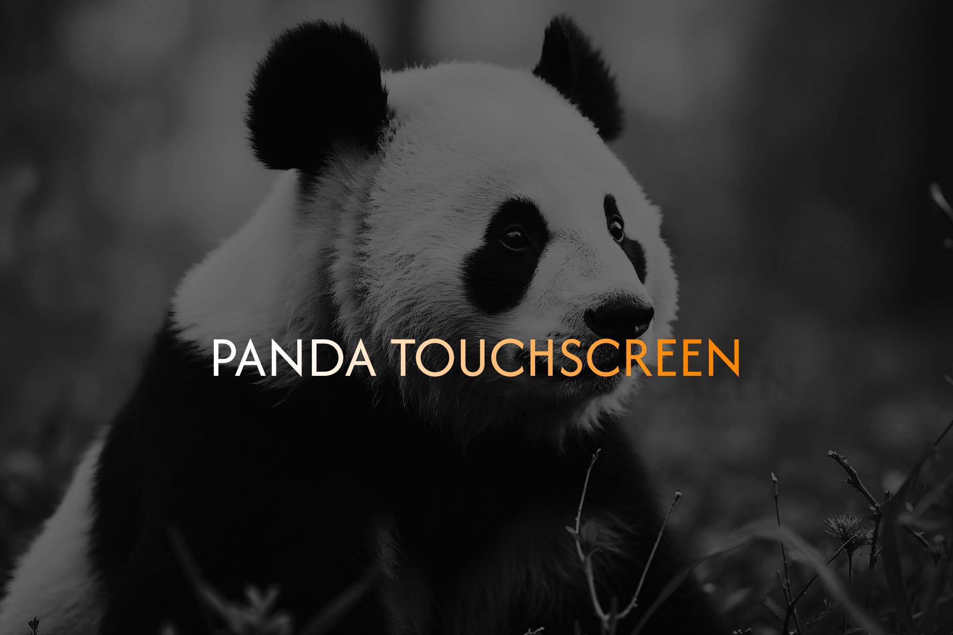 Brandbook project